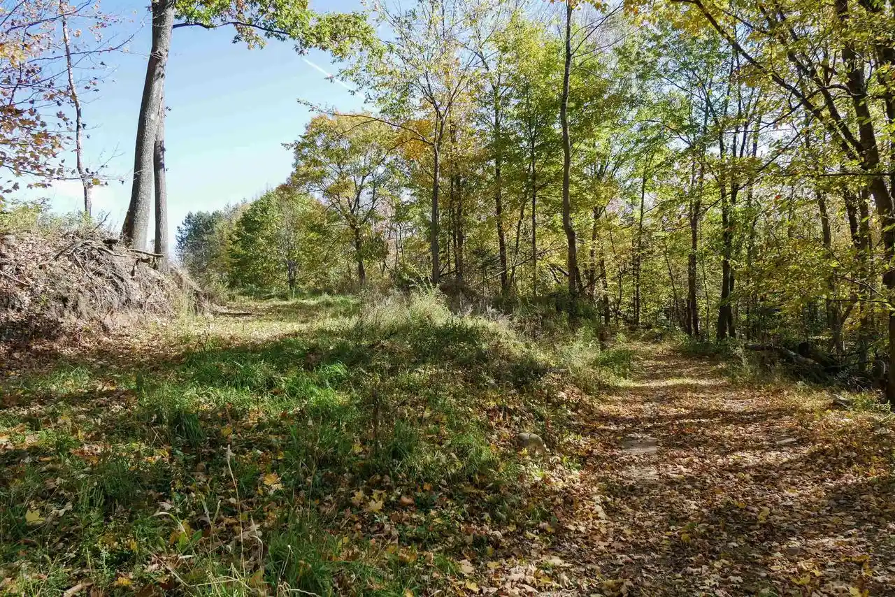 Photo 4 of Land for sale at 5555 Acres Brush Crk Rd, Medford, WI 54451 | MLS# 22604662 | Listing updated on 2026-10-08