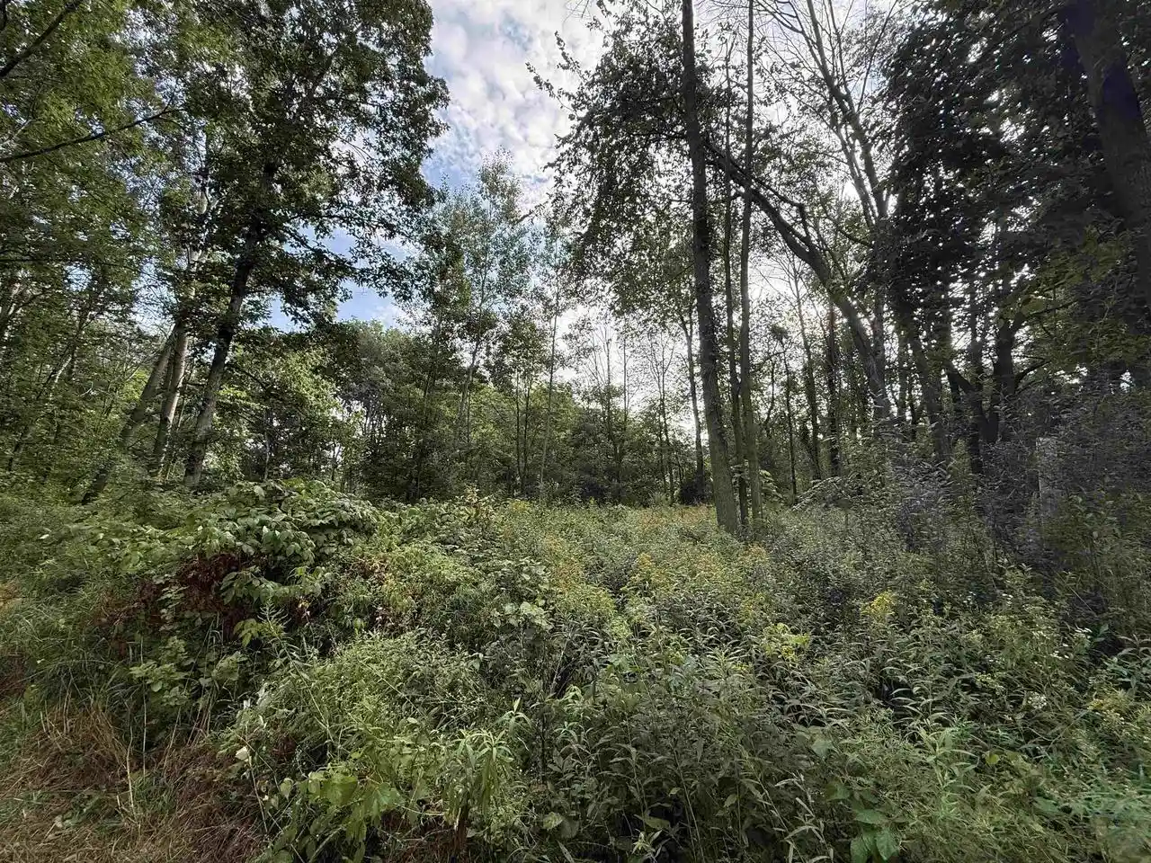 Photo 2 of Land for sale at 444 Oakridge Dr, Oneida, WI 54155 | MLS# 50332977 | Listing updated on 2026-09-21