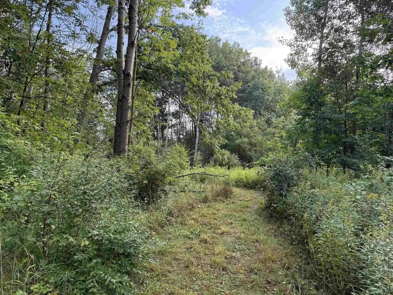 Photo 3 of Land for sale at 444 Oakridge Dr, Oneida, WI 54155 | MLS# 50332977 | Listing updated on 2026-09-21