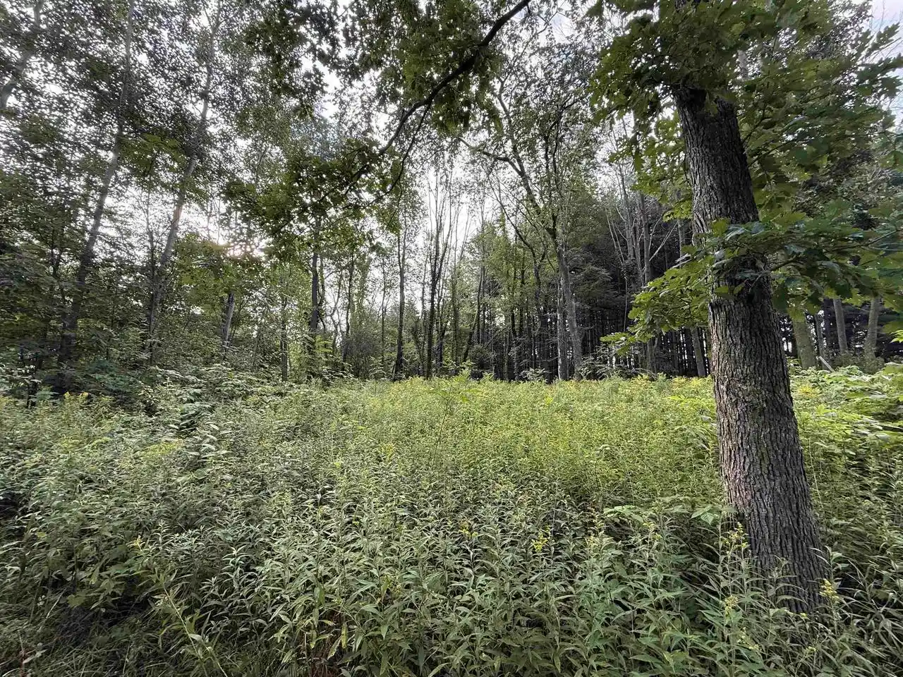 Photo 3 of Land for sale at 444 Oakridge Dr, Oneida, WI 54155 | MLS# 50332977 | Listing updated on 2026-09-21