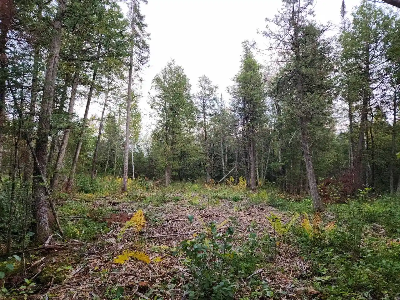 Photo 1 of Land for sale at Highway 45, Aniwa, WI 54414 | MLS# 50332992 | Listing updated on 2026-09-21