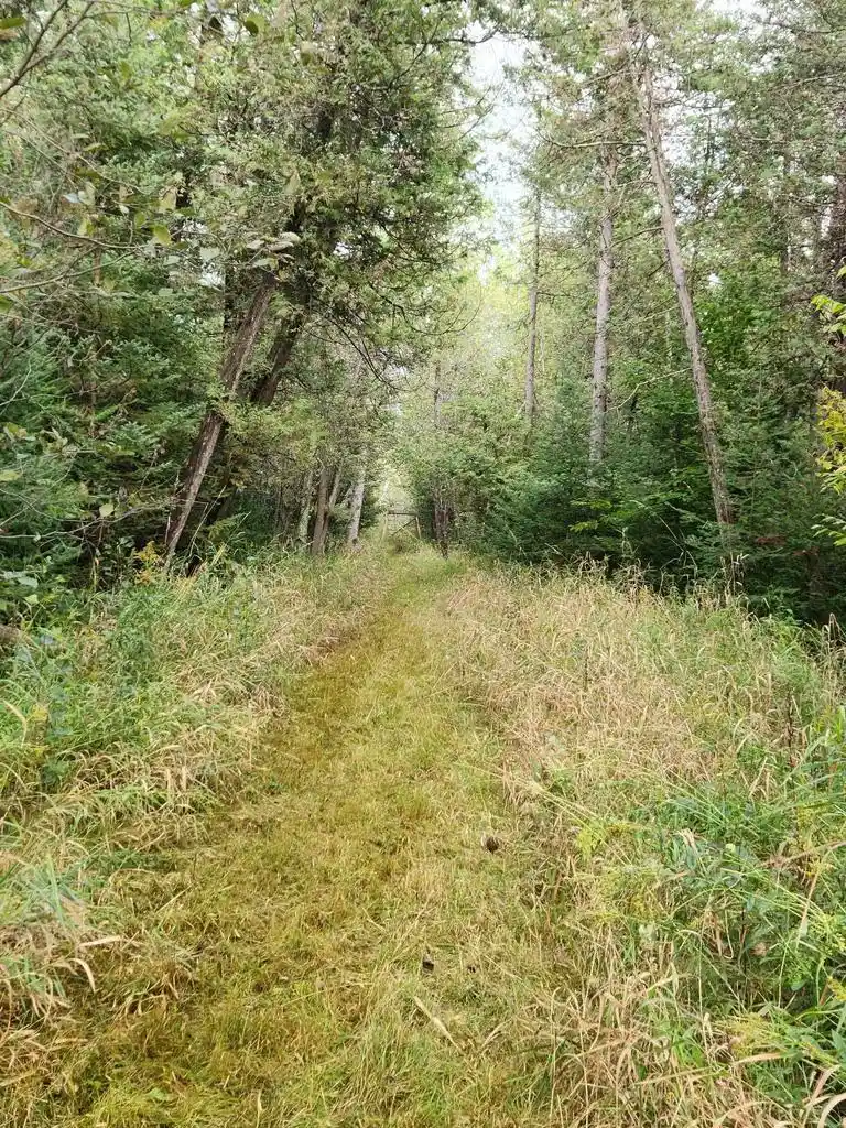 Photo 2 of Land for sale at Highway 45, Aniwa, WI 54414 | MLS# 50332992 | Listing updated on 2026-09-23