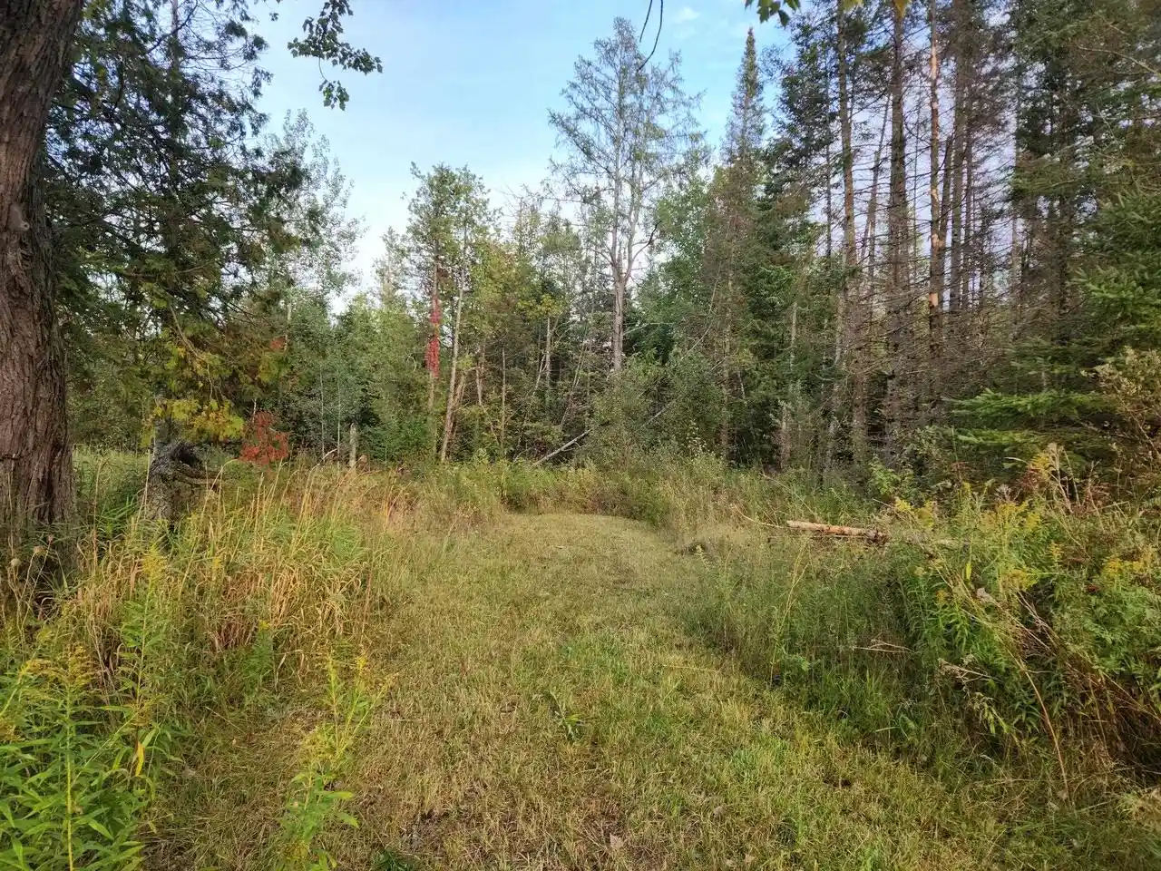 Photo 3 of Land for sale at Highway 45, Aniwa, WI 54414 | MLS# 50332992 | Listing updated on 2026-09-23
