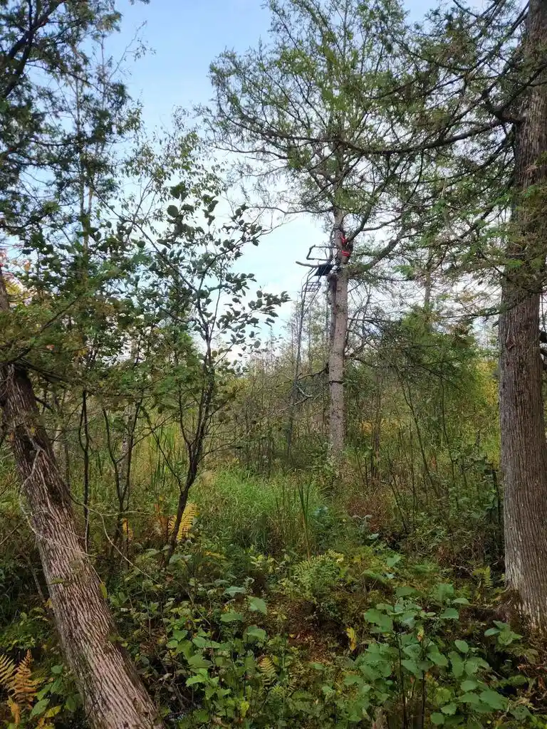 Photo 2 of Land for sale at Highway 45, Aniwa, WI 54414 | MLS# 50332992 | Listing updated on 2026-09-21