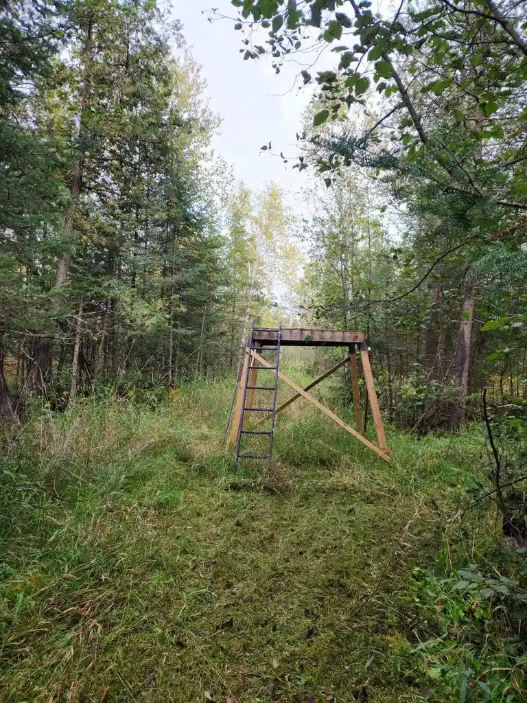 Photo 3 of Land for sale at Highway 45, Aniwa, WI 54414 | MLS# 50332992 | Listing updated on 2026-09-21