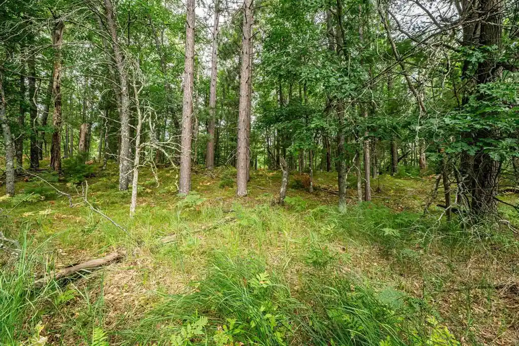 Photo 2 of Sale Pending at 0 Birch Lake Rd, Solon Springs, WI 54873 | MLS# 1605313 | Listing updated on 2026-10-09