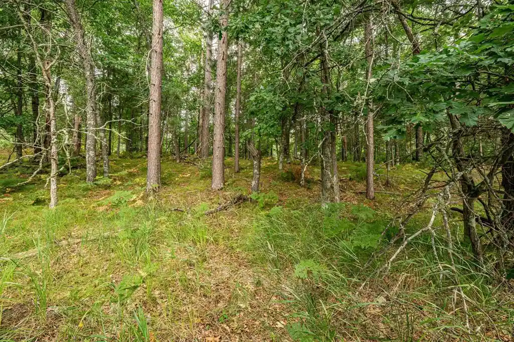 Photo 4 of Sale Pending at 0 Birch Lake Rd, Solon Springs, WI 54873 | MLS# 1605313 | Listing updated on 2026-10-09