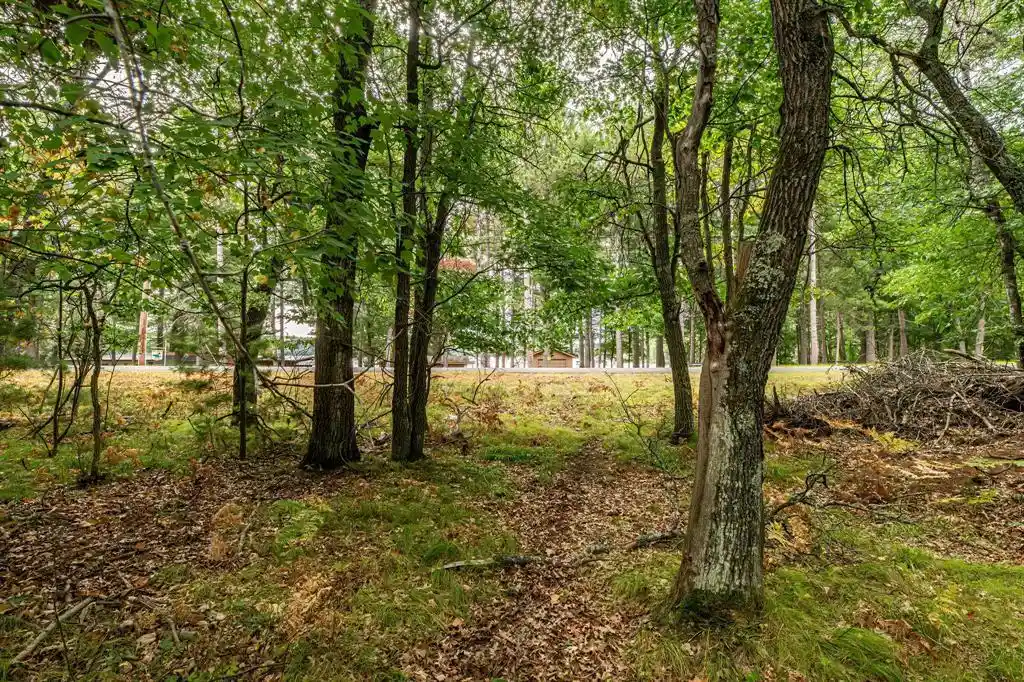 Photo 1 of Sale Pending at 0 Birch Lake Rd, Barnes, WI 54873 | MLS# 1605315 | Listing updated on 2026-09-29