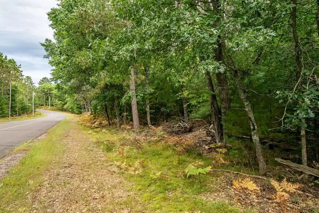 Photo 2 of Sale Pending at 0 Birch Lake Rd, Barnes, WI 54873 | MLS# 1605315 | Listing updated on 2026-09-29