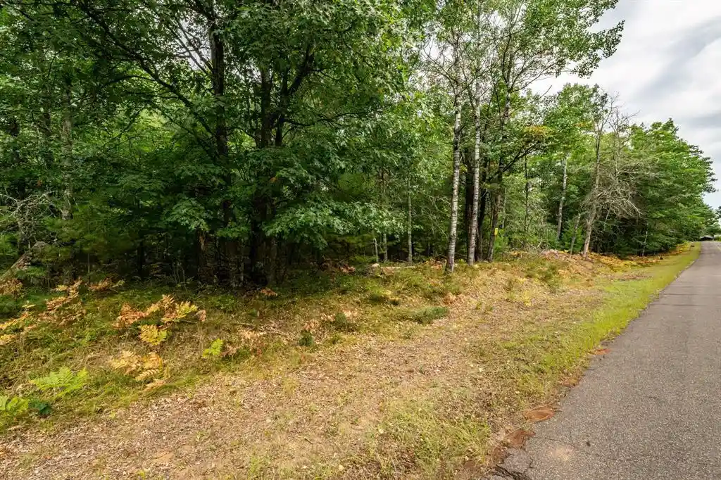 Photo 3 of Sale Pending at 0 Birch Lake Rd, Barnes, WI 54873 | MLS# 1605315 | Listing updated on 2026-09-29