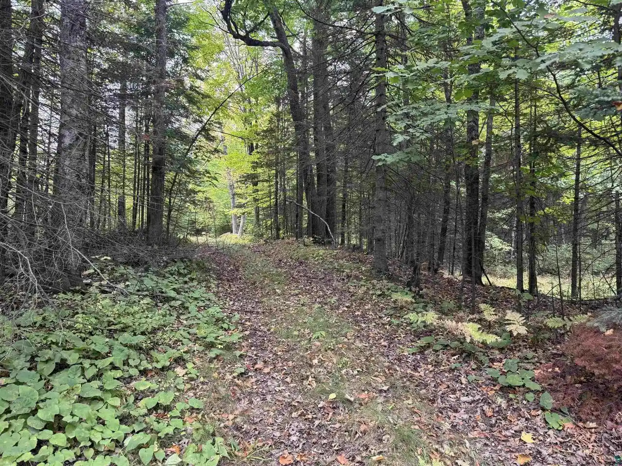 Photo 1 of Land for sale at Xxx S Dump Rd, Maple, WI 54854 | MLS# 6128077 | Listing updated on 2026-09-23