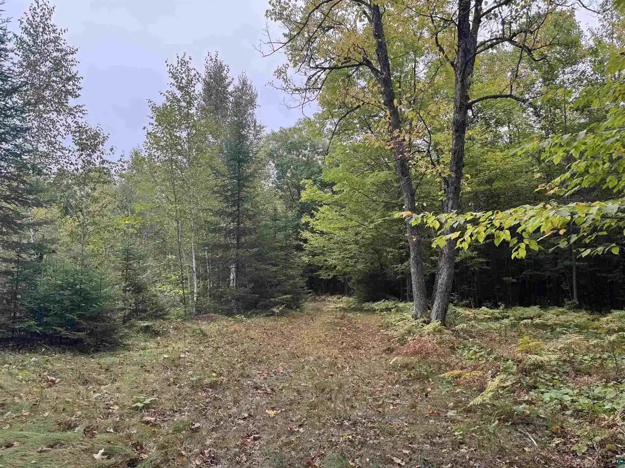 Photo 2 of Land for sale at Xxx S Dump Rd, Maple, WI 54854 | MLS# 6128077 | Listing updated on 2026-09-23