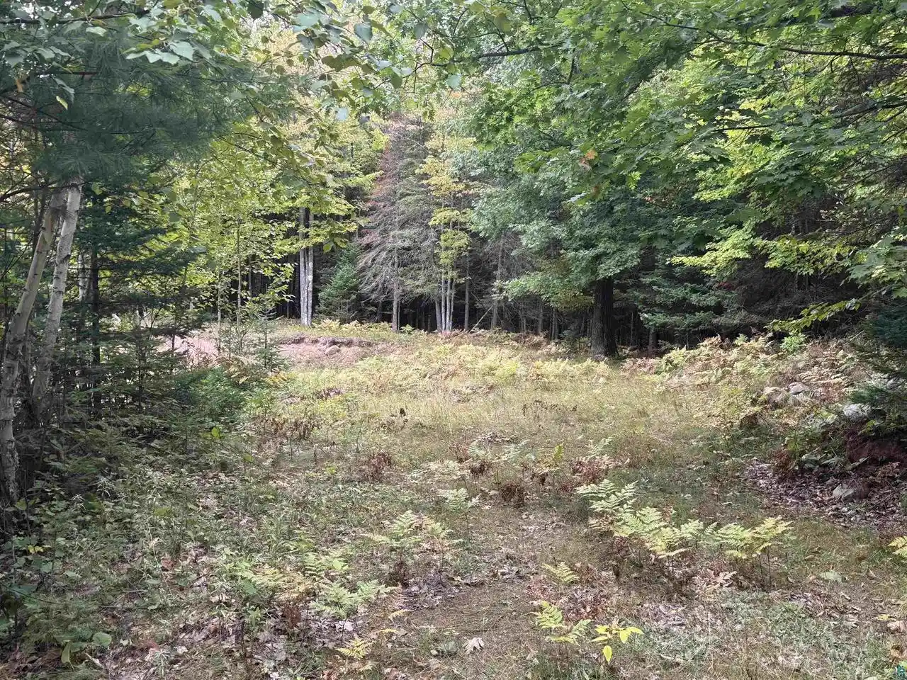 Photo 3 of Land for sale at Xxx S Dump Rd, Maple, WI 54854 | MLS# 6128077 | Listing updated on 2026-09-23