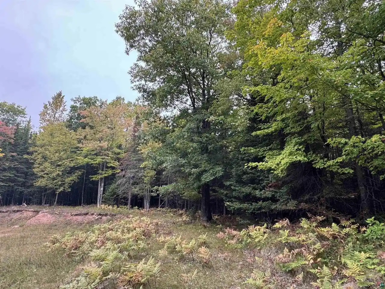 Photo 4 of Land for sale at Xxx S Dump Rd, Maple, WI 54854 | MLS# 6128077 | Listing updated on 2026-09-23
