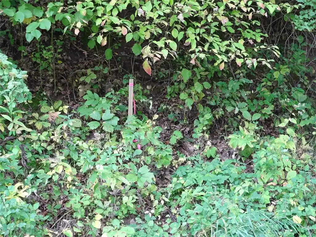 Photo 3 of Land for sale at 000 County Rd E, Stockholm, WI 54769 | MLS# 1605274 | Listing updated on 2026-09-22