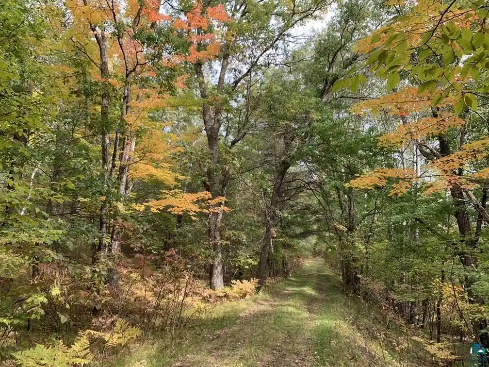 Photo 3 of Land for sale at Xxxx Whitetail Ridge Rd, Iron River, WI 54847 | MLS# 6128090 | Listing updated on 2026-09-25