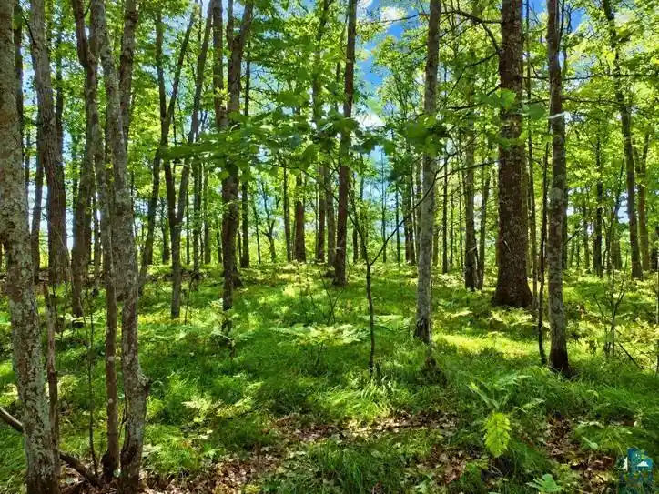 Photo 3 of Land for sale at Xxxx Whitetail Ridge Rd, Iron River, WI 54847 | MLS# 6128090 | Listing updated on 2026-09-25