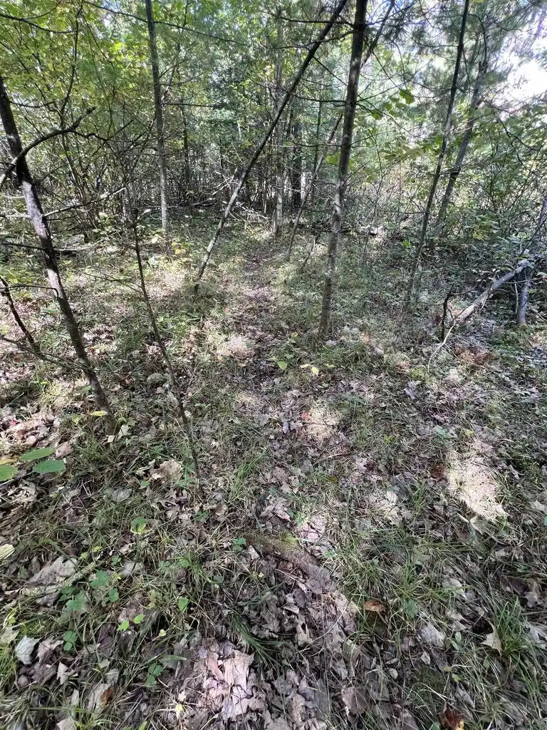 Photo 3 of Land for sale at Trout Hvn Rd, Dunbar, WI 54119 | MLS# 50333038 | Listing updated on 2026-09-22