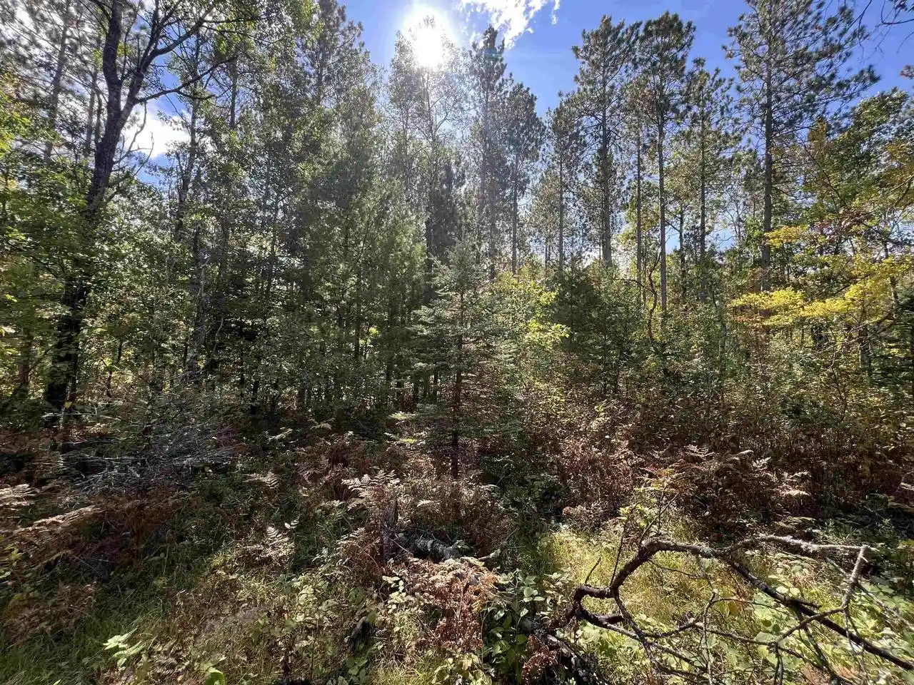 Photo 4 of Land for sale at Trout Hvn Rd, Dunbar, WI 54119 | MLS# 50333038 | Listing updated on 2026-09-22