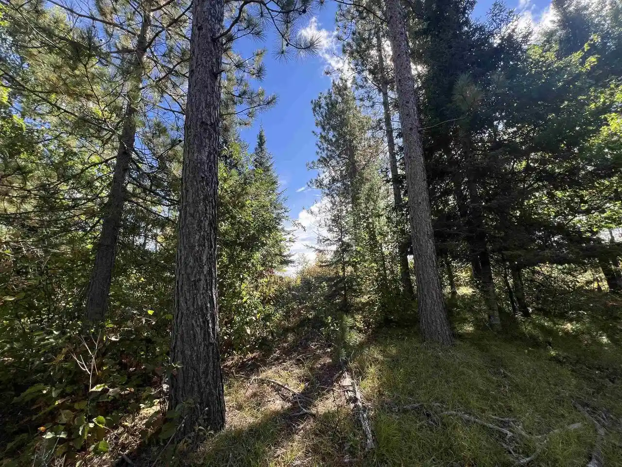 Land for sale at Gehling Rd, Dunbar, WI 54119 | MLS# 50333039