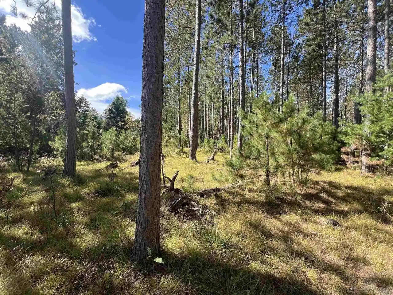 Photo 3 of Land for sale at Gehling Rd, Dunbar, WI 54119 | MLS# 50333039 | Listing updated on 2026-09-22