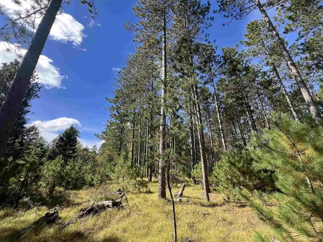 Photo 3 of Land for sale at Gehling Rd, Dunbar, WI 54119 | MLS# 50333039 | Listing updated on 2026-09-22