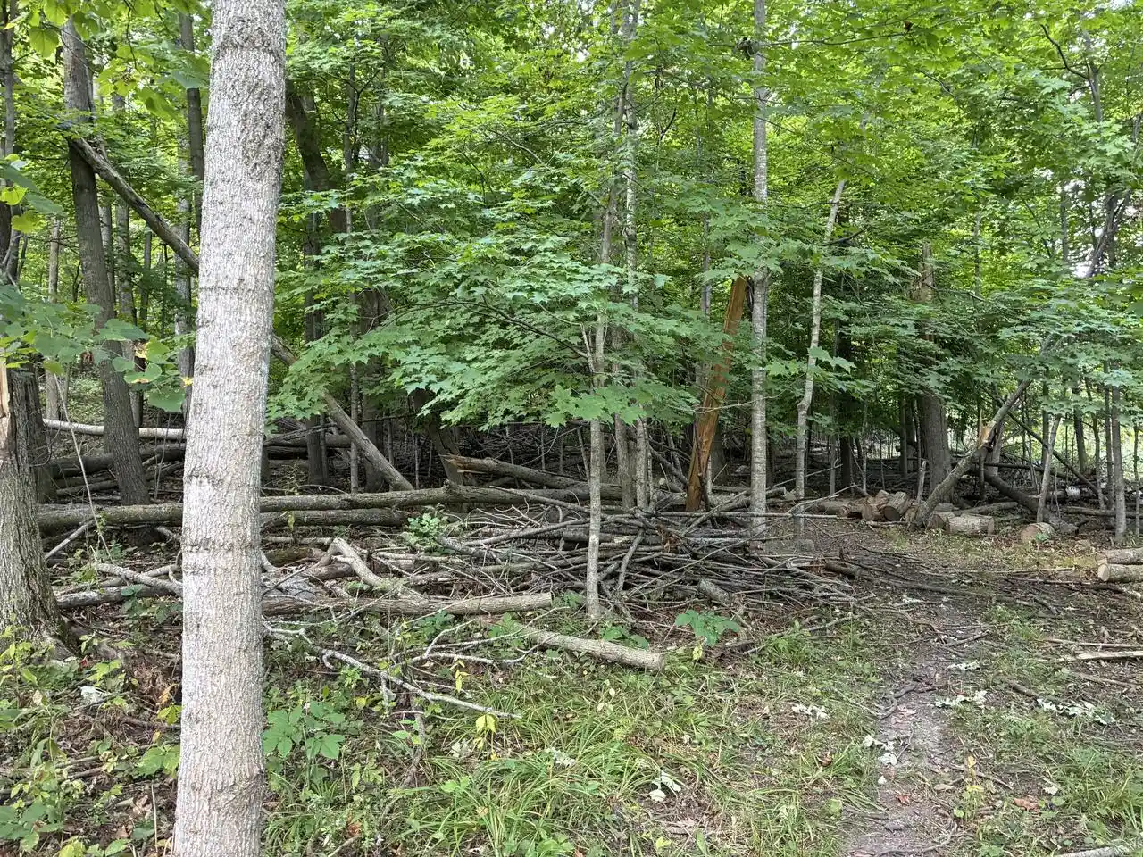 Photo 3 of Land for sale at Lt3 Blueberry Ln, Waldo, WI 53093 | MLS# 1981596 | Listing updated on 2026-10-01