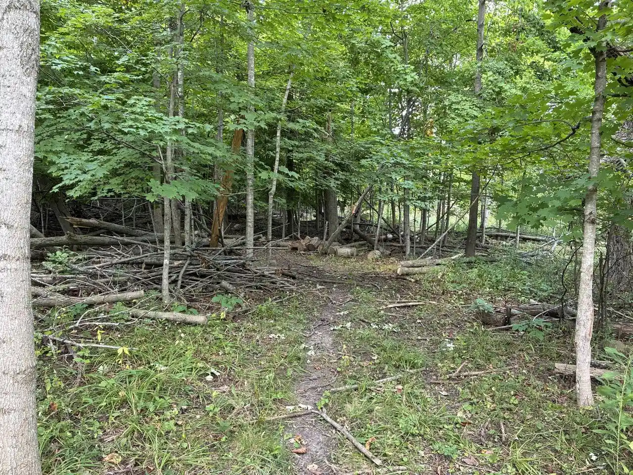 Photo 4 of Land for sale at Lt3 Blueberry Ln, Waldo, WI 53093 | MLS# 1981596 | Listing updated on 2026-10-01