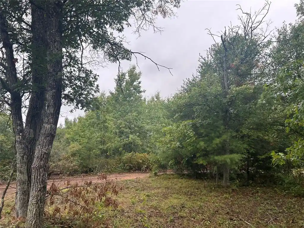 Photo 4 of Land for sale at Lot 2 County Rd T, Wascott, WI 54838 | MLS# 1605330 | Listing updated on 2026-10-05