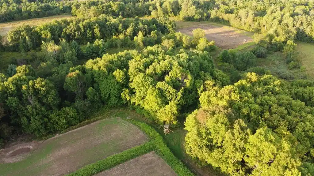Photo 4 of Land for sale at Xxx 340th Avenue, Clam Falls, WI 54837 | MLS# 1605349 | Listing updated on 2026-09-28