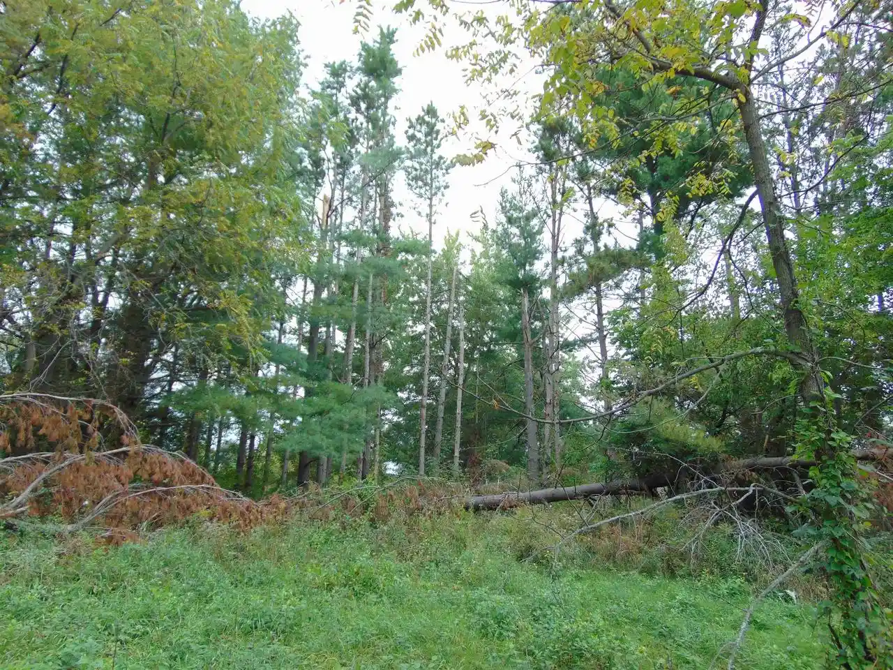 Photo 2 of Land for sale at Lot 1 Baraboo St, Merrimac, WI 53561 | MLS# 2033180 | Listing updated on 2026-09-26