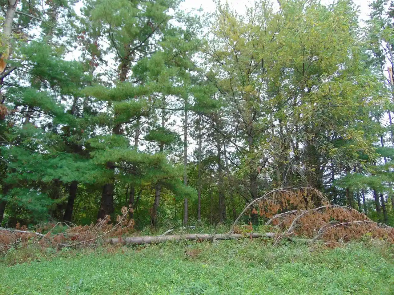 Photo 3 of Land for sale at Lot 1 Baraboo St, Merrimac, WI 53561 | MLS# 2033180 | Listing updated on 2026-09-26