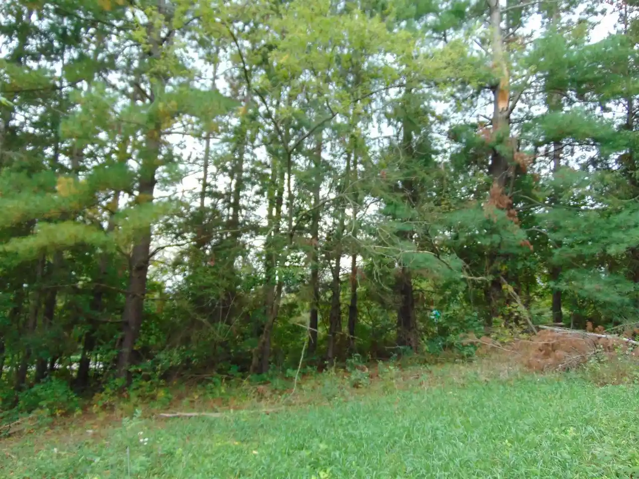 Photo 3 of Land for sale at Lot 1 Baraboo St, Merrimac, WI 53561 | MLS# 2033180 | Listing updated on 2026-09-26