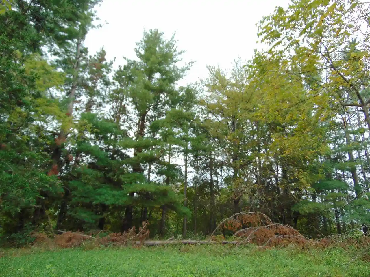 Photo 4 of Land for sale at Lot 1 Baraboo St, Merrimac, WI 53561 | MLS# 2033180 | Listing updated on 2026-09-26