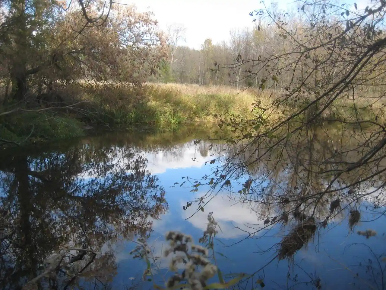 Photo 3 of Land for sale at 8026 Village Dr, Whitelaw, WI 54247 | MLS# 1981631 | Listing updated on 2026-09-29