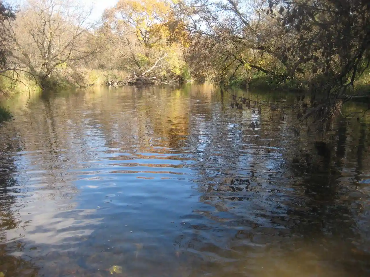 Photo 3 of Land for sale at 8026 Village Dr, Whitelaw, WI 54247 | MLS# 1981631 | Listing updated on 2026-09-29