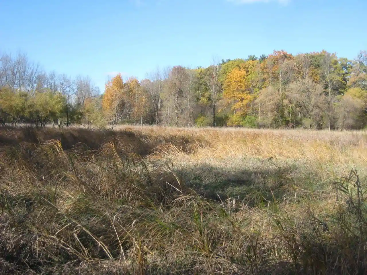 Photo 4 of Land for sale at 8026 Village Dr, Whitelaw, WI 54247 | MLS# 1981631 | Listing updated on 2026-09-29