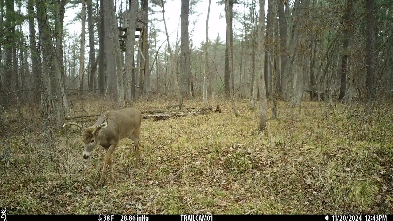 Photo 3 of Land for sale at N4016 State Hwy 54, Black River Falls, WI 54615 | MLS# 1981659 | Listing updated on 2026-09-23