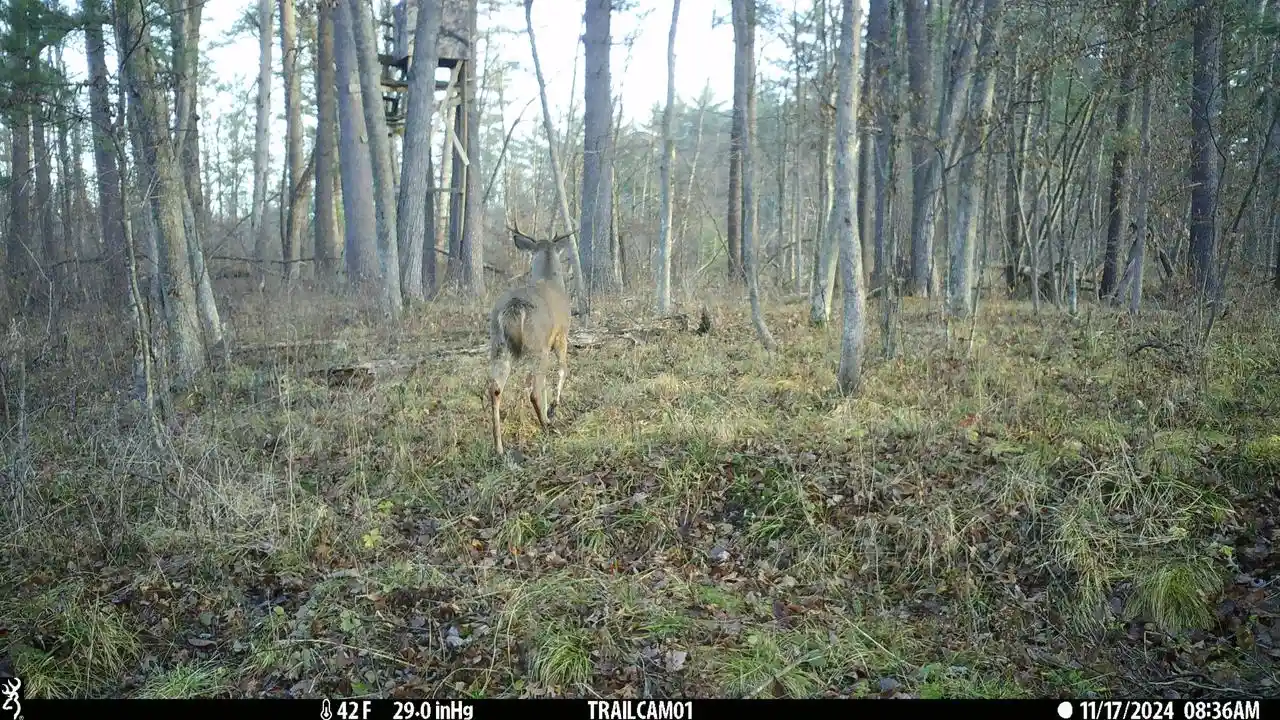 Photo 4 of Land for sale at N4016 State Hwy 54, Black River Falls, WI 54615 | MLS# 1981659 | Listing updated on 2026-09-23