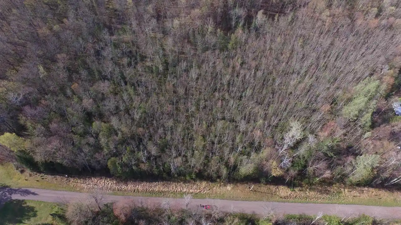 Photo 4 of Land for sale at W10937 Red Wine Rd, Medford, WI 54451 | MLS# 22604710 | Listing updated on 2026-09-28