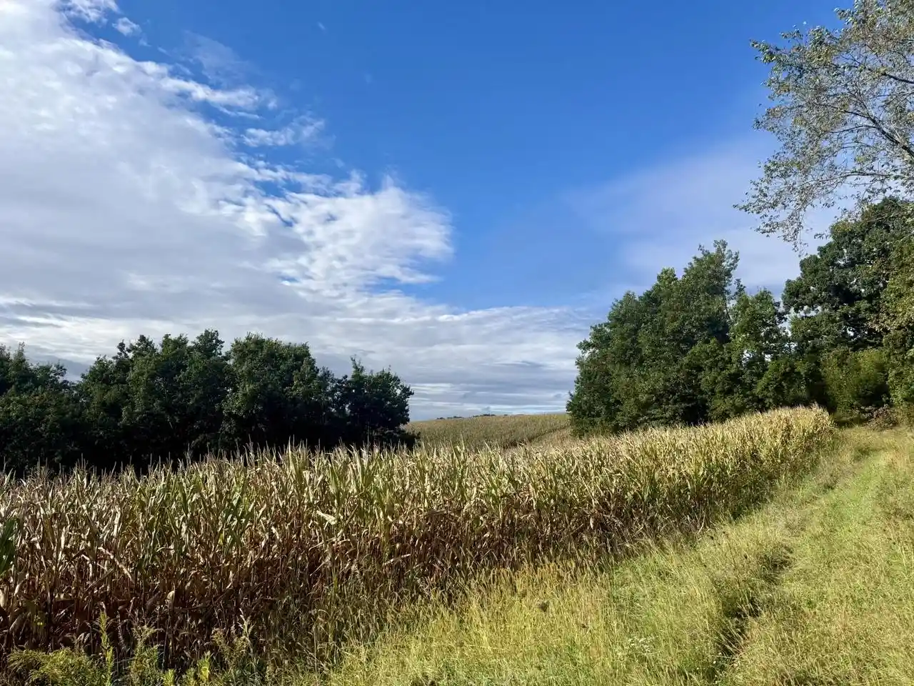 Photo 1 of Land for sale at 15 Acres Ozone Rd, Elroy, WI 53929 | MLS# 2033212 | Listing updated on 2026-09-22