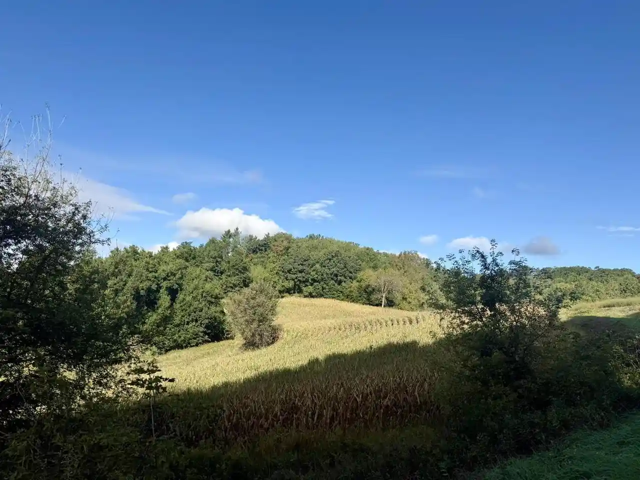 Photo 2 of Land for sale at 15 Acres Ozone Rd, Elroy, WI 53929 | MLS# 2033212 | Listing updated on 2026-09-22