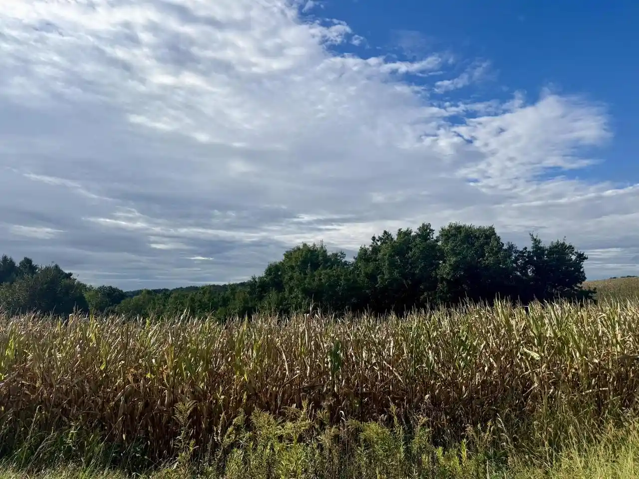 Photo 3 of Land for sale at 15 Acres Ozone Rd, Elroy, WI 53929 | MLS# 2033212 | Listing updated on 2026-09-22