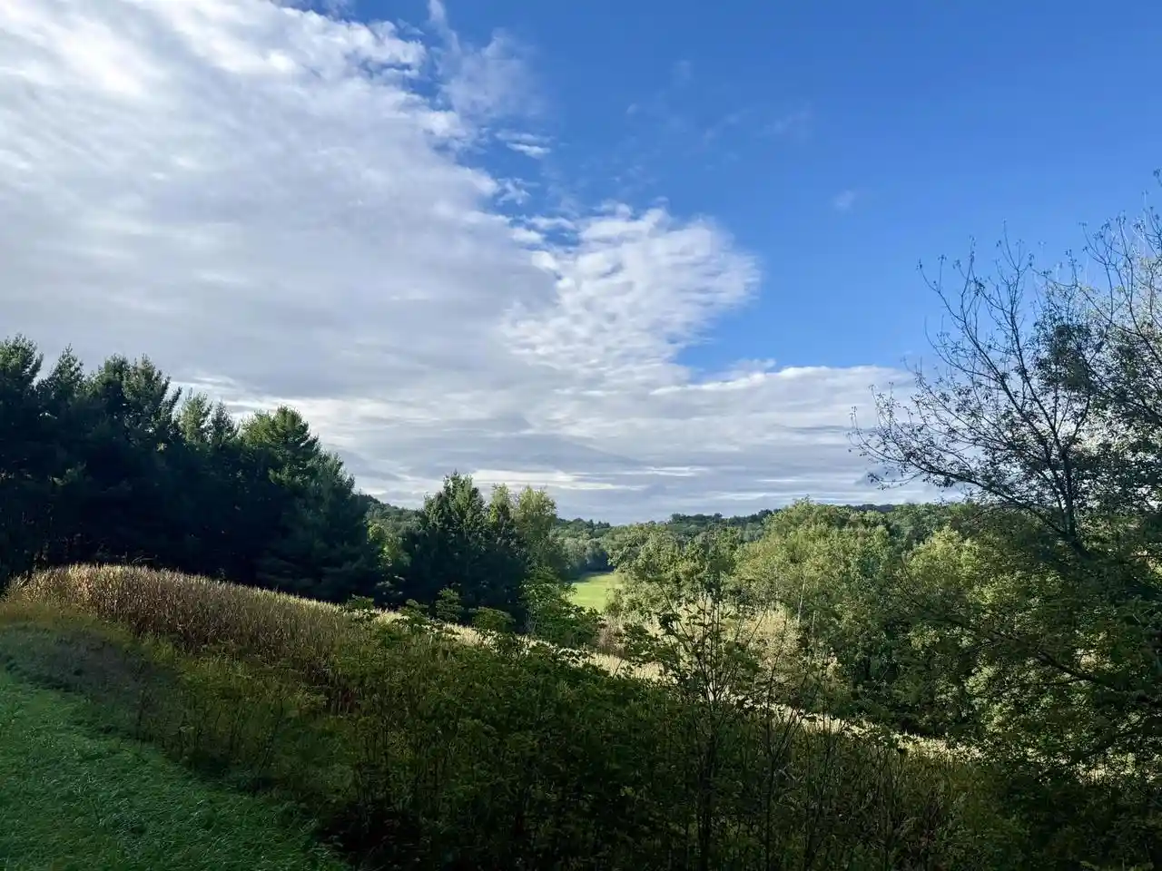 Photo 3 of Land for sale at 15 Acres Ozone Rd, Elroy, WI 53929 | MLS# 2033212 | Listing updated on 2026-09-22