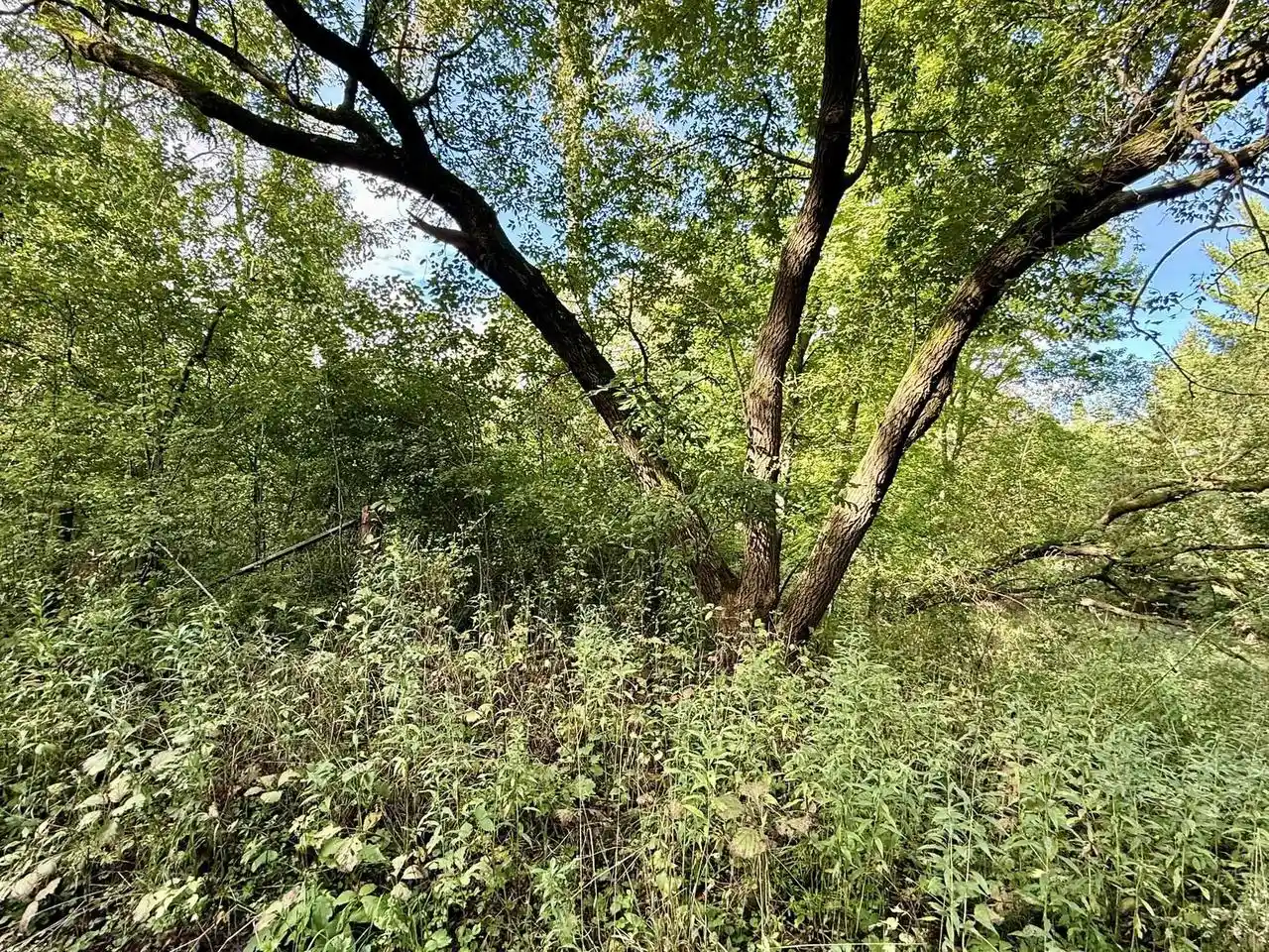 Photo 4 of Land for sale at 15 Acres Ozone Rd, Elroy, WI 53929 | MLS# 2033212 | Listing updated on 2026-09-22