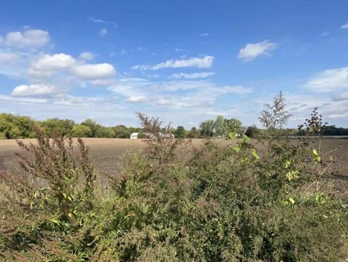 Photo 2 of Land for sale at L1 Csm 15650 Happy Valley Rd, Sun Prairie, WI 53590 | MLS# 2033213 | Listing updated on 2026-09-22