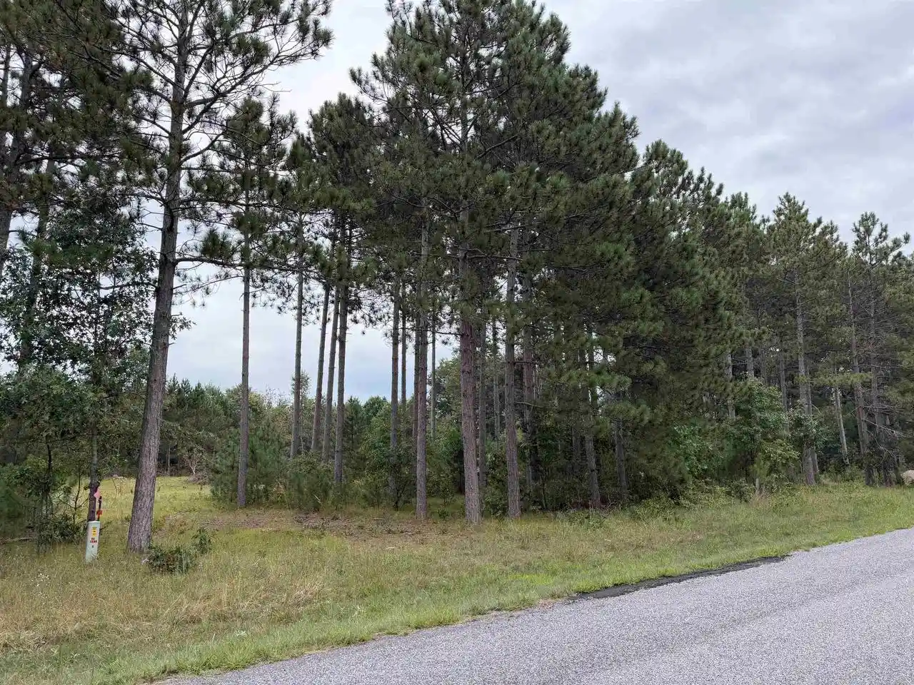 Photo 2 of Land for sale at N13618 19th Avenue, Necedah, WI 54646 | MLS# 2033245 | Listing updated on 2026-09-24