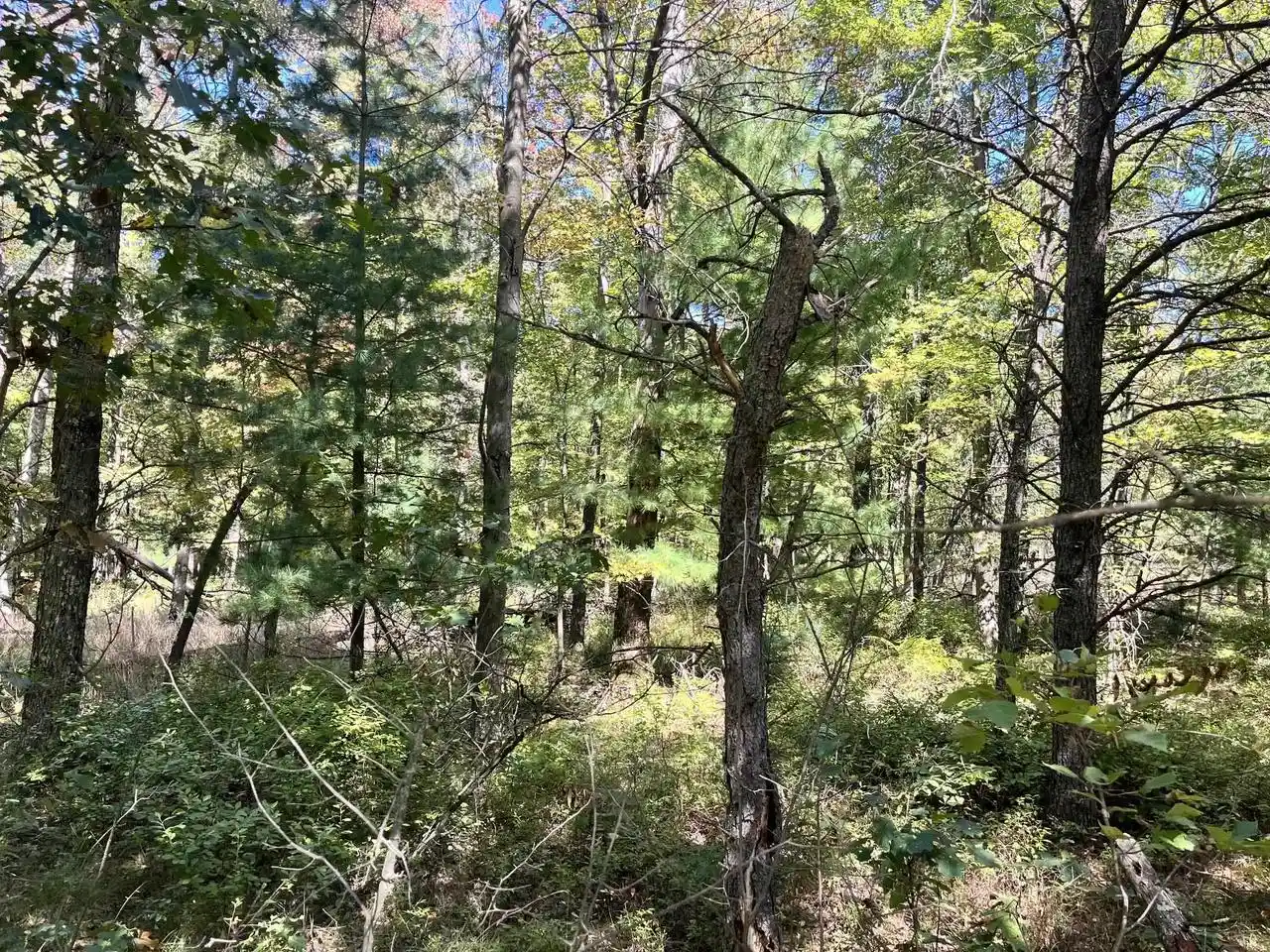 Photo 3 of Land for sale at 932 Beaver Ave, Hancock, WI 54943 | MLS# 2033277 | Listing updated on 2026-09-23