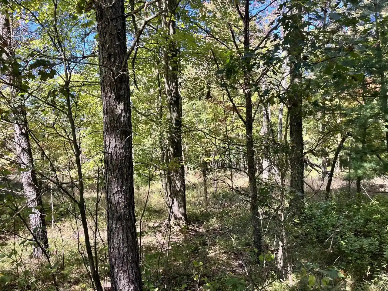 Photo 3 of Land for sale at 932 Beaver Ave, Hancock, WI 54943 | MLS# 2033277 | Listing updated on 2026-09-23