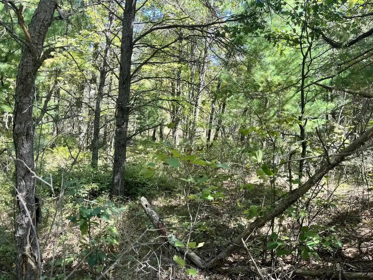 Photo 4 of Land for sale at 932 Beaver Ave, Hancock, WI 54943 | MLS# 2033277 | Listing updated on 2026-09-23